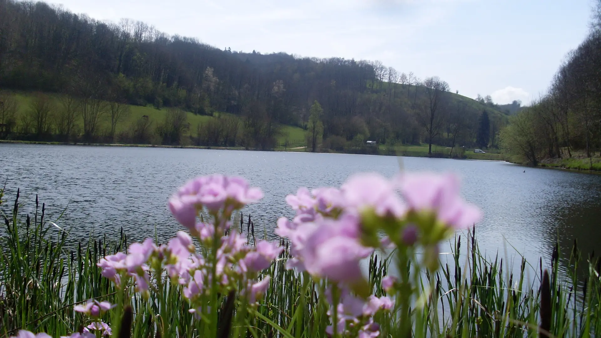 Etang du Thivoley