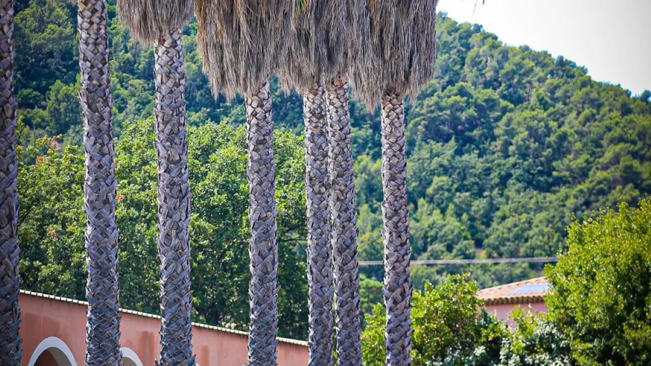 Domaine Matteri_Hyères