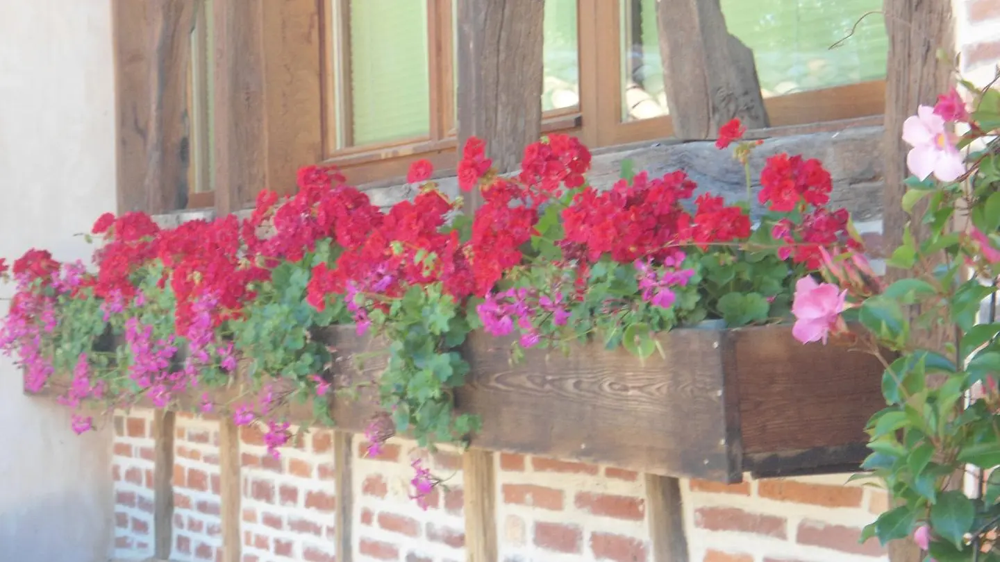 gite fleuri