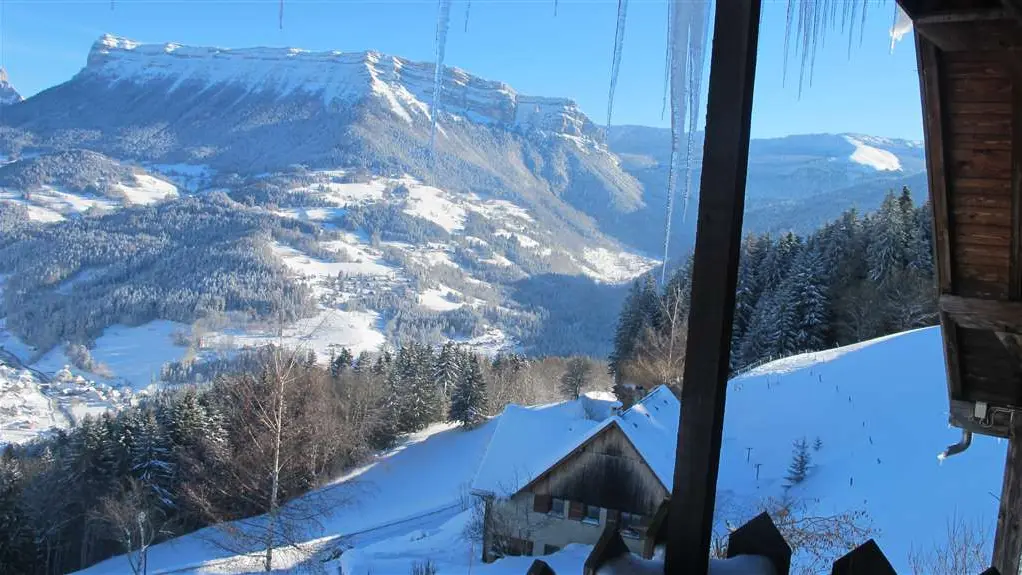 Du balcon de la chambre , vue sur le Piney