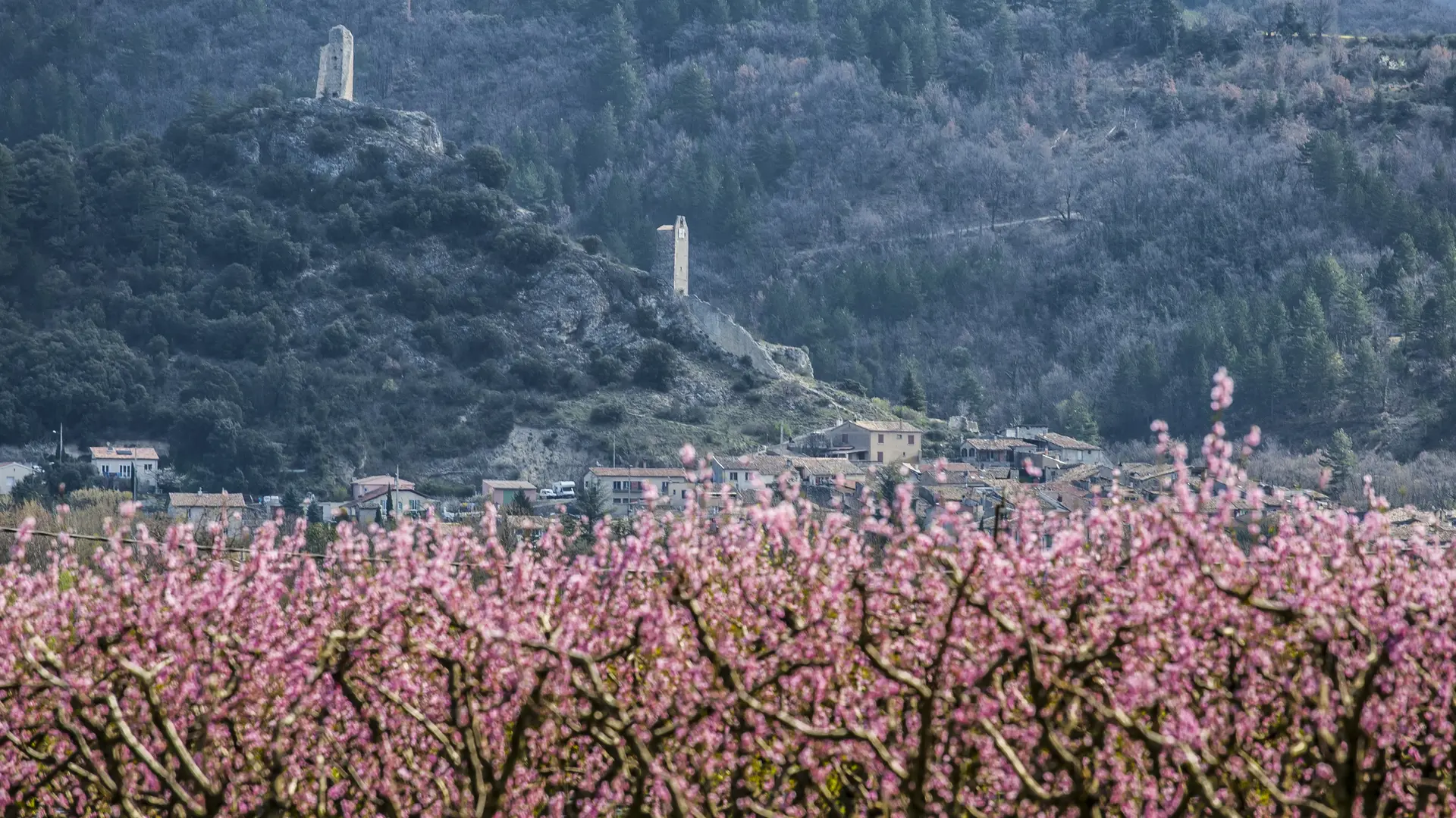 Le chemin des Deux Tours ©Thibaut Vergoz