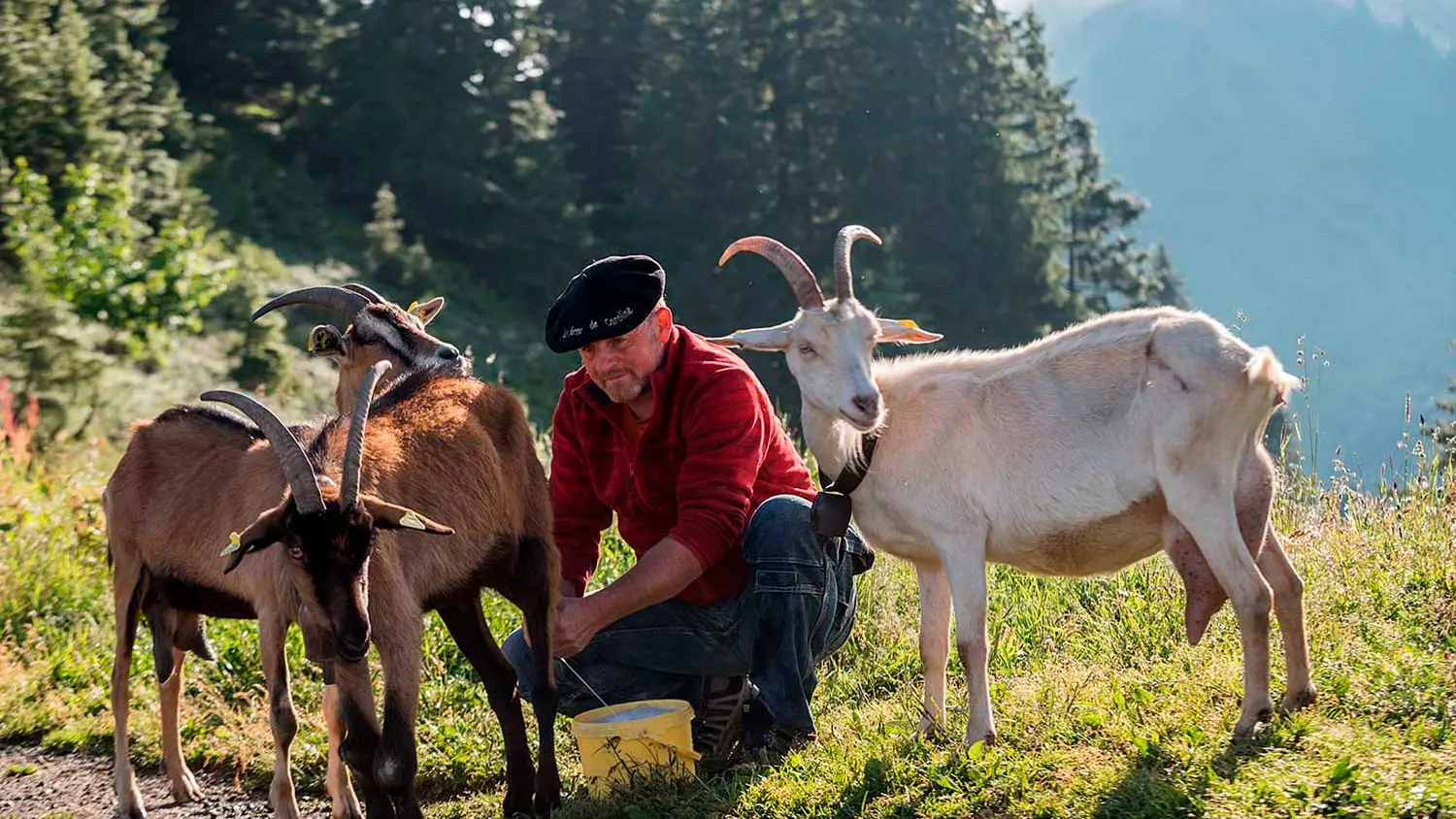 La Ferme de Caroline