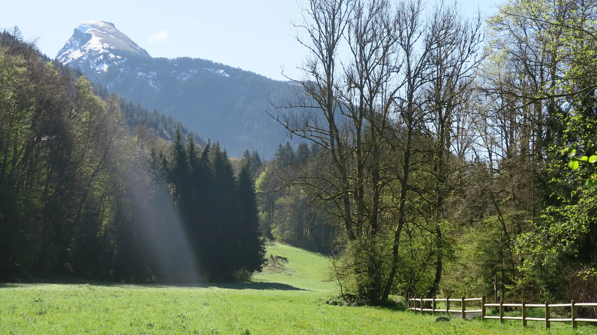 Les Dérèches - prés