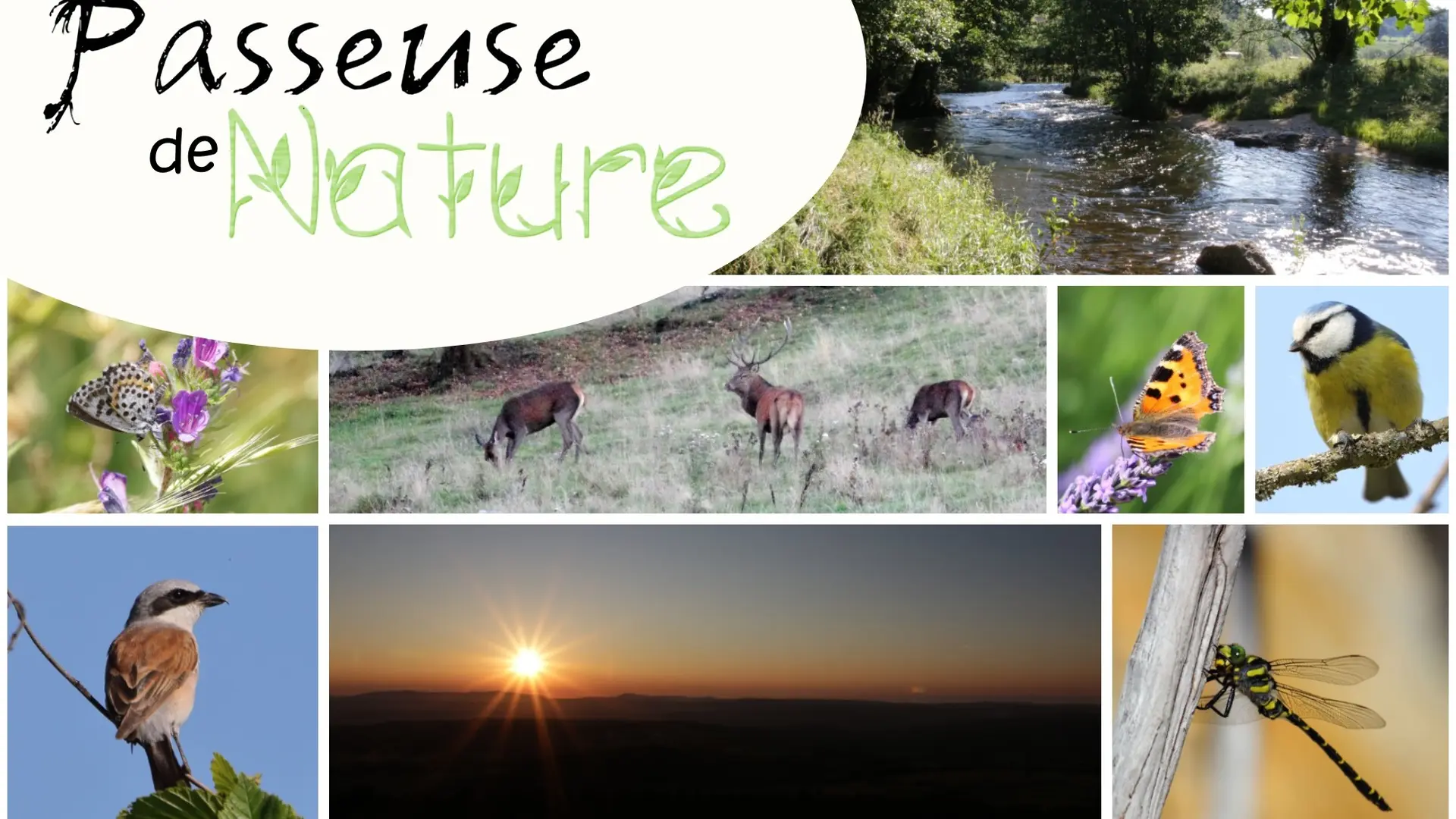 Des sorties nature à thème