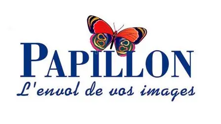 LOGO PAPILLON AUDIOVISUEL