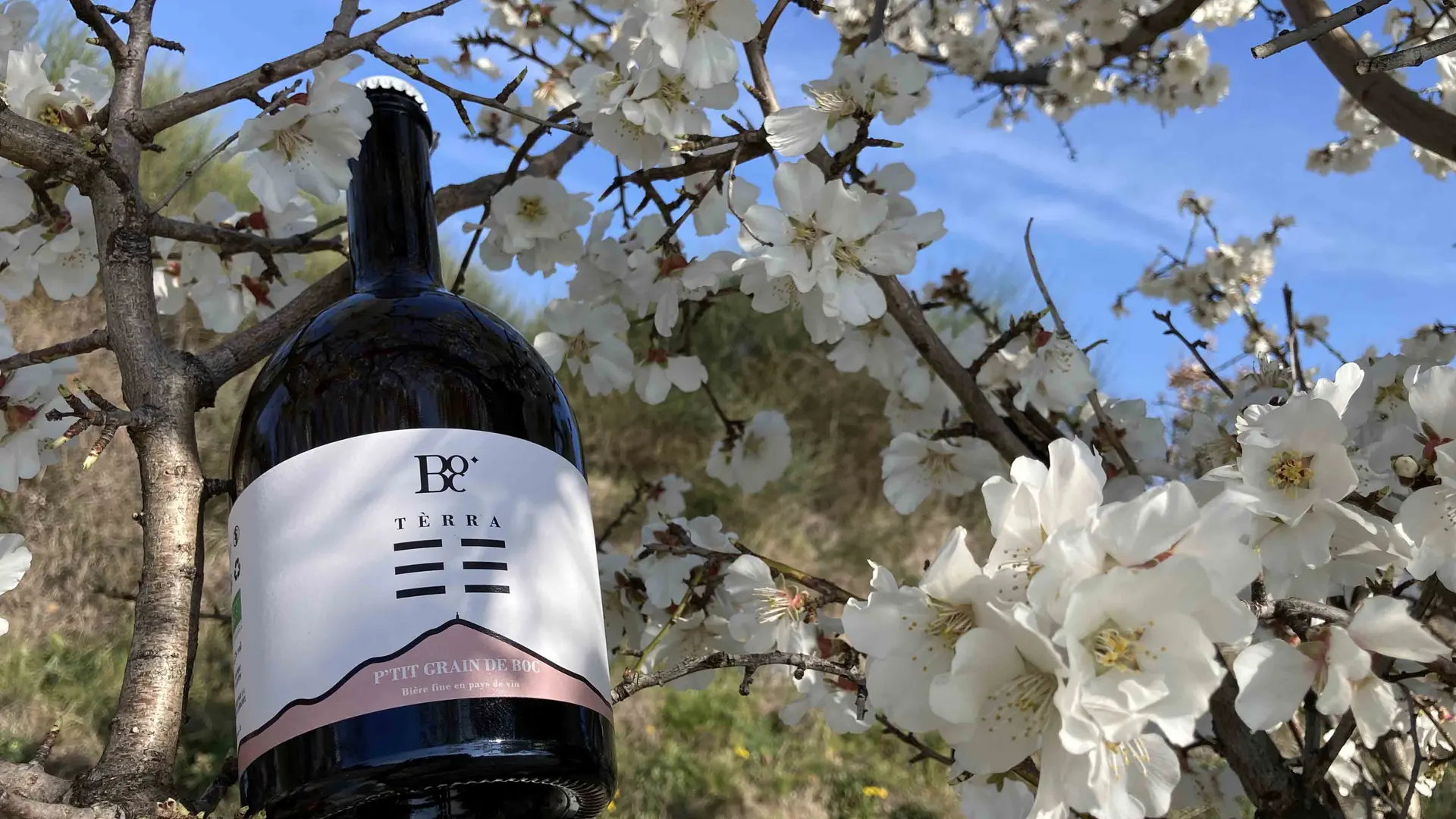 Co-fermentation avec du muscat de Beaumes-de-Venise