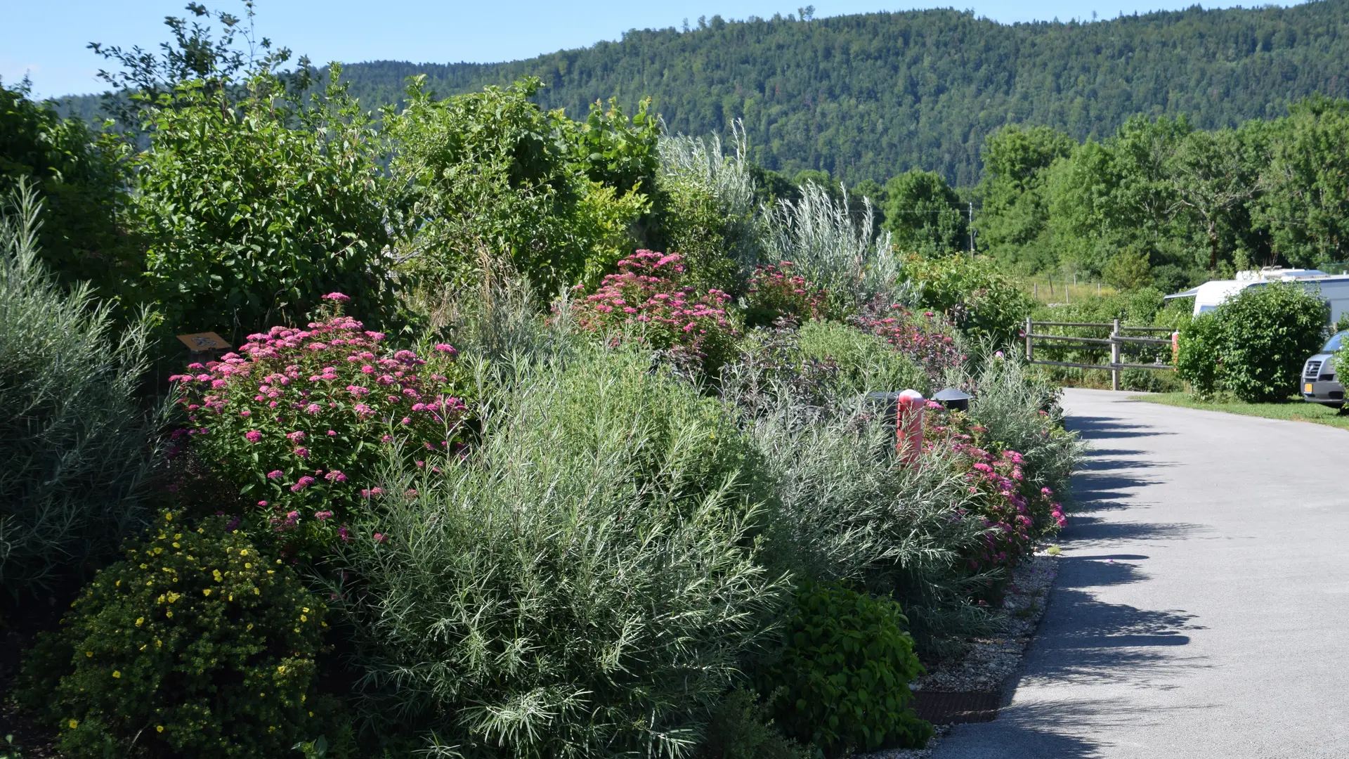 Allée camping 12 cols camping fleuris