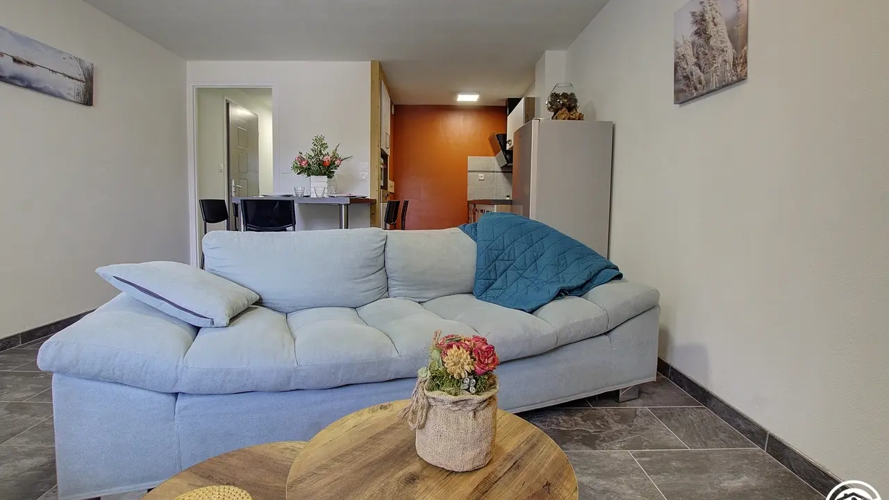 Salon , dont canapé et un  fauteuil .