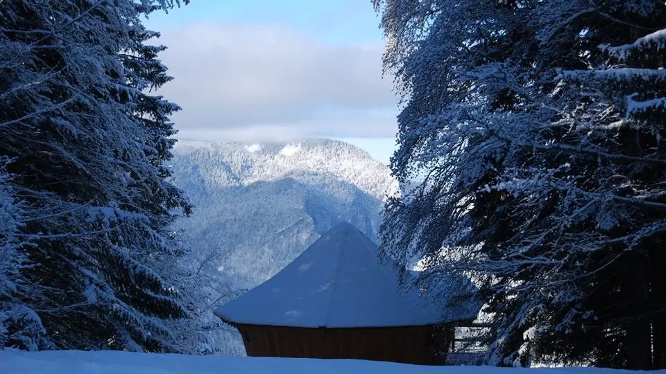 CABANE LA BORDEE