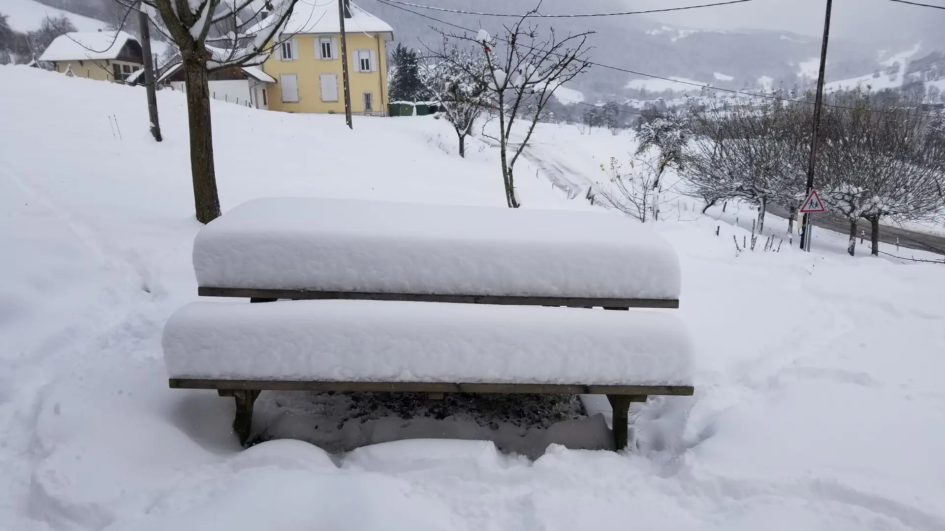 Partie de neige !