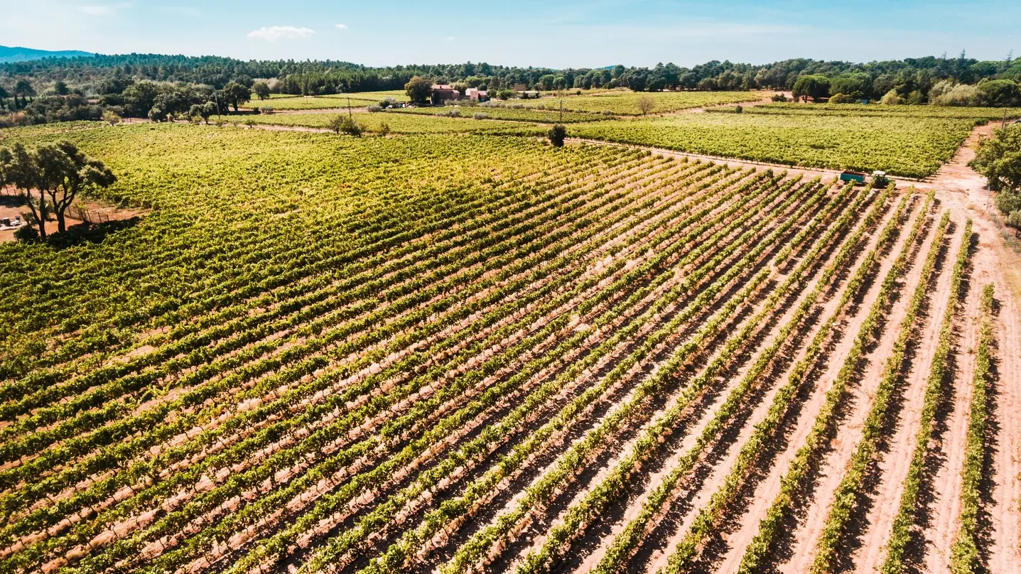 Journée Chocolat et Terroir