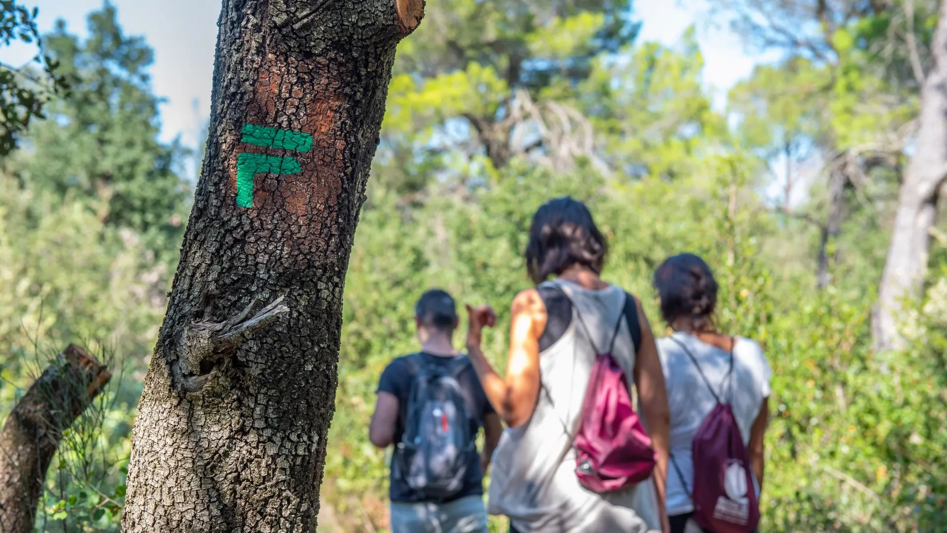 Randonée de Vachères