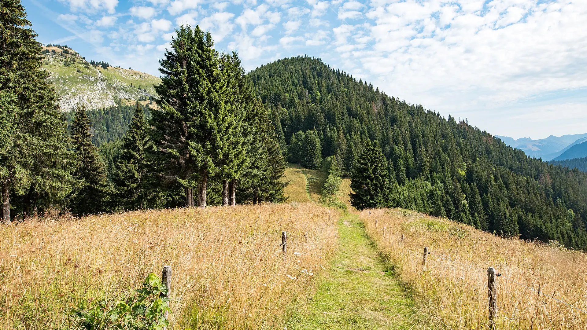 Entre le col de la Balme et le col de la Lanche