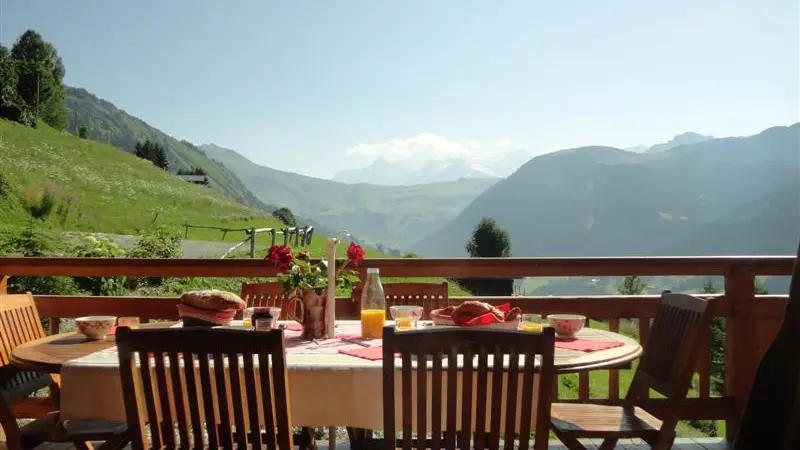 Terrasse avec vue sur le Mont-Blanc