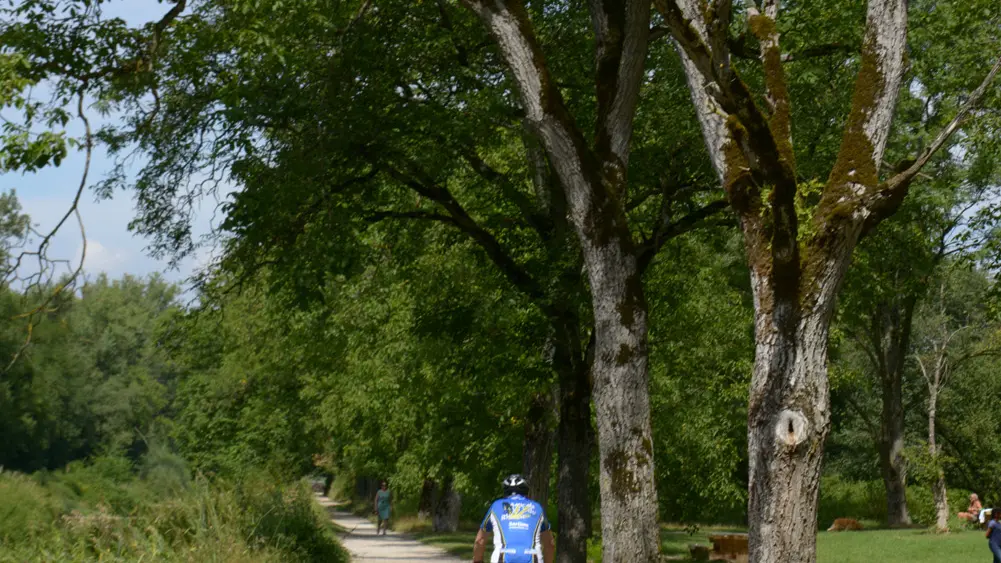 promenade bord de l'aire