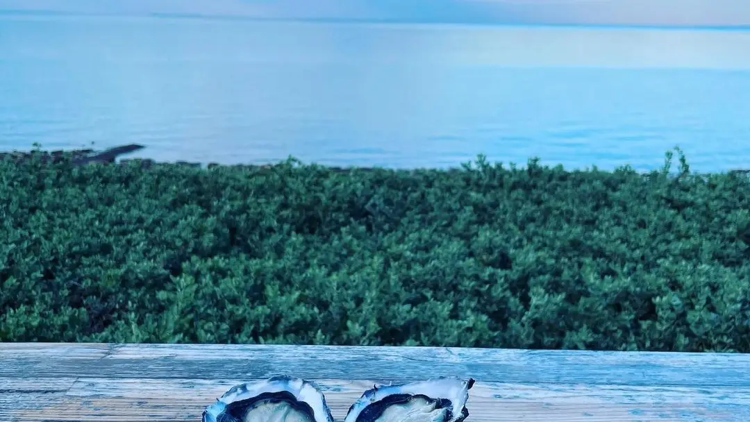 Le Bar à huîtres : La Cabane Océane