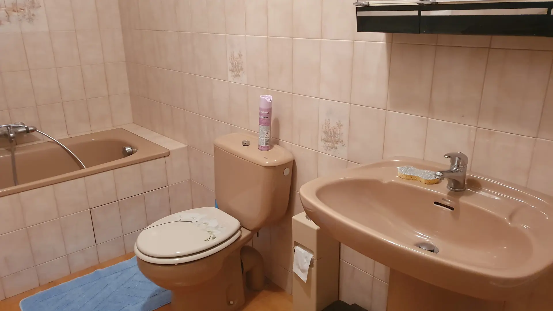 Gîte Les Filagnes-Salle de bain/WC-L'Escarène-Gîtes de France des Alpes-Maritimes