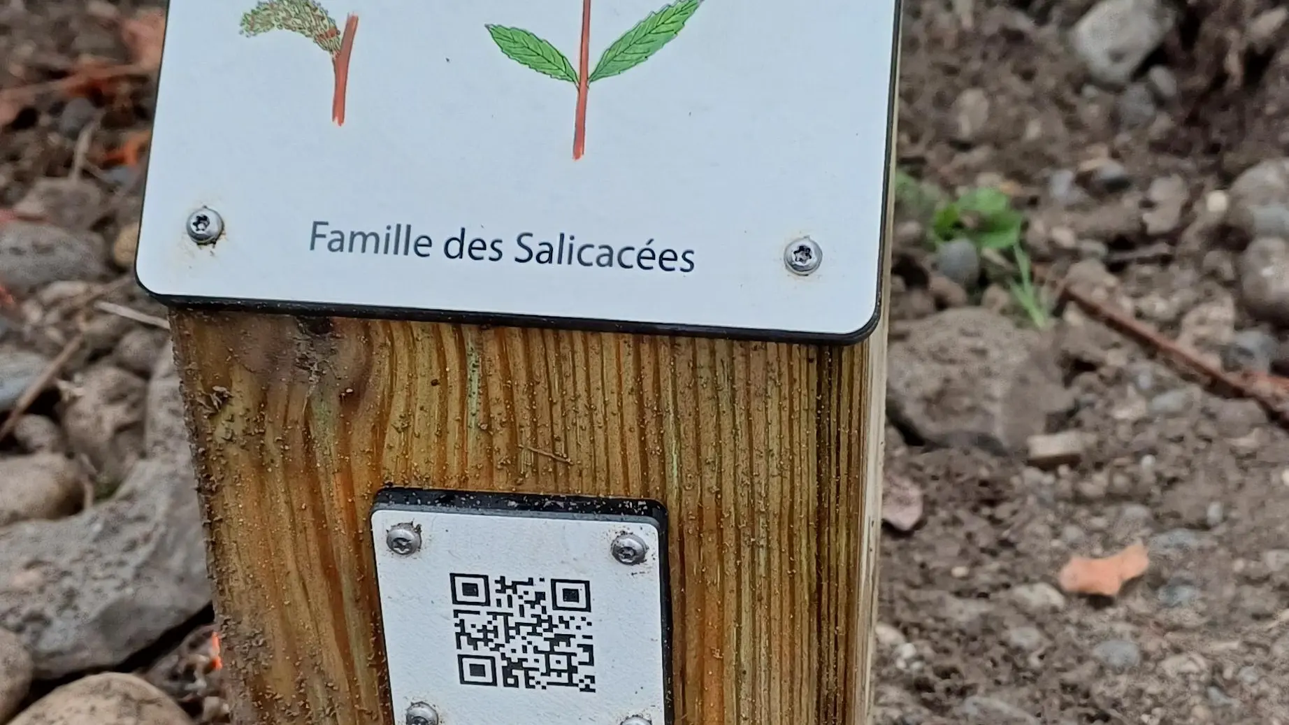 Panneau botanique avec QR code