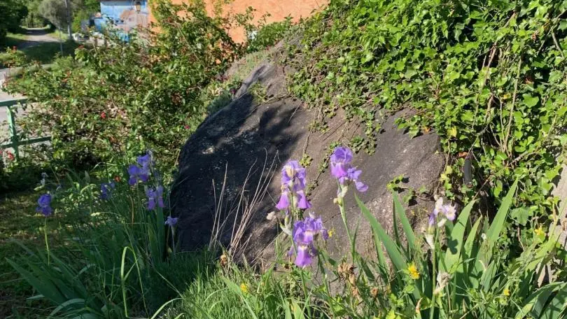 Gîte Le Doudou d'Anathéo-Fleurs-Roquebillière-Gîtes de France des Alpes-Maritimes