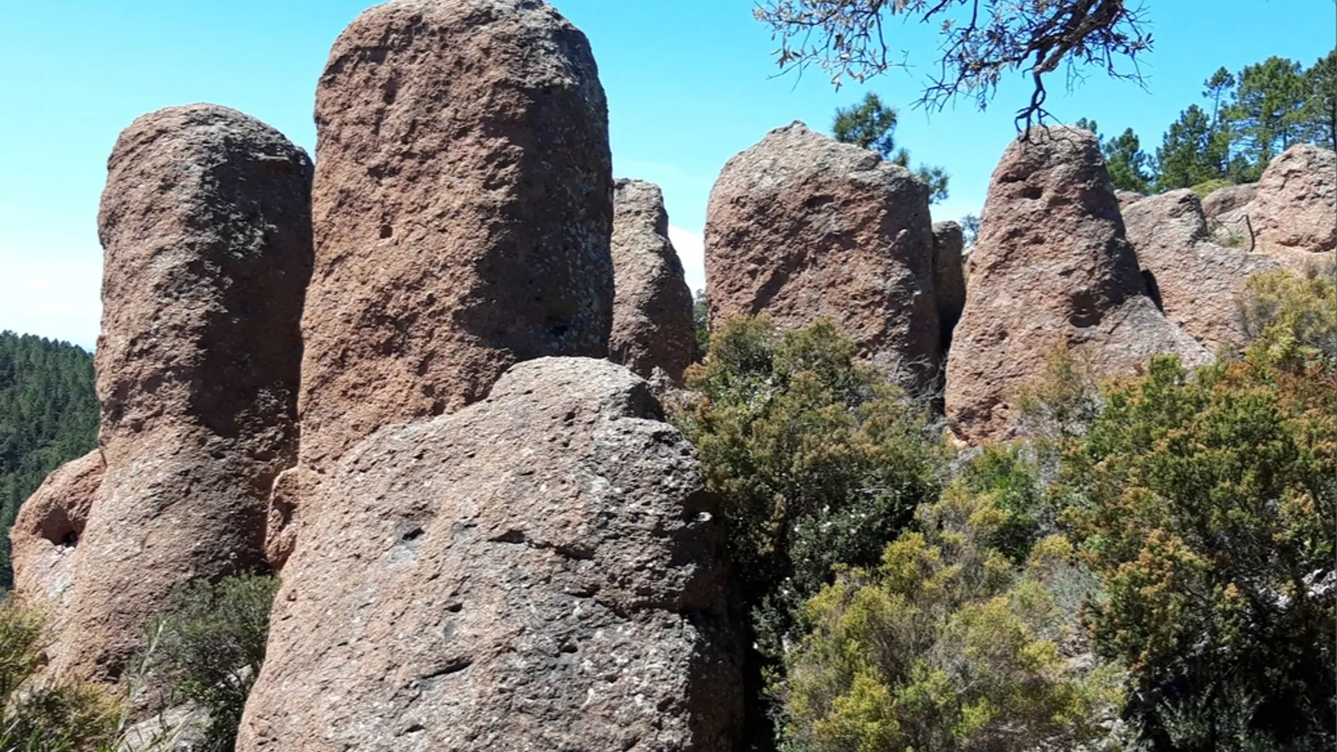Vue sur les anciennes meules