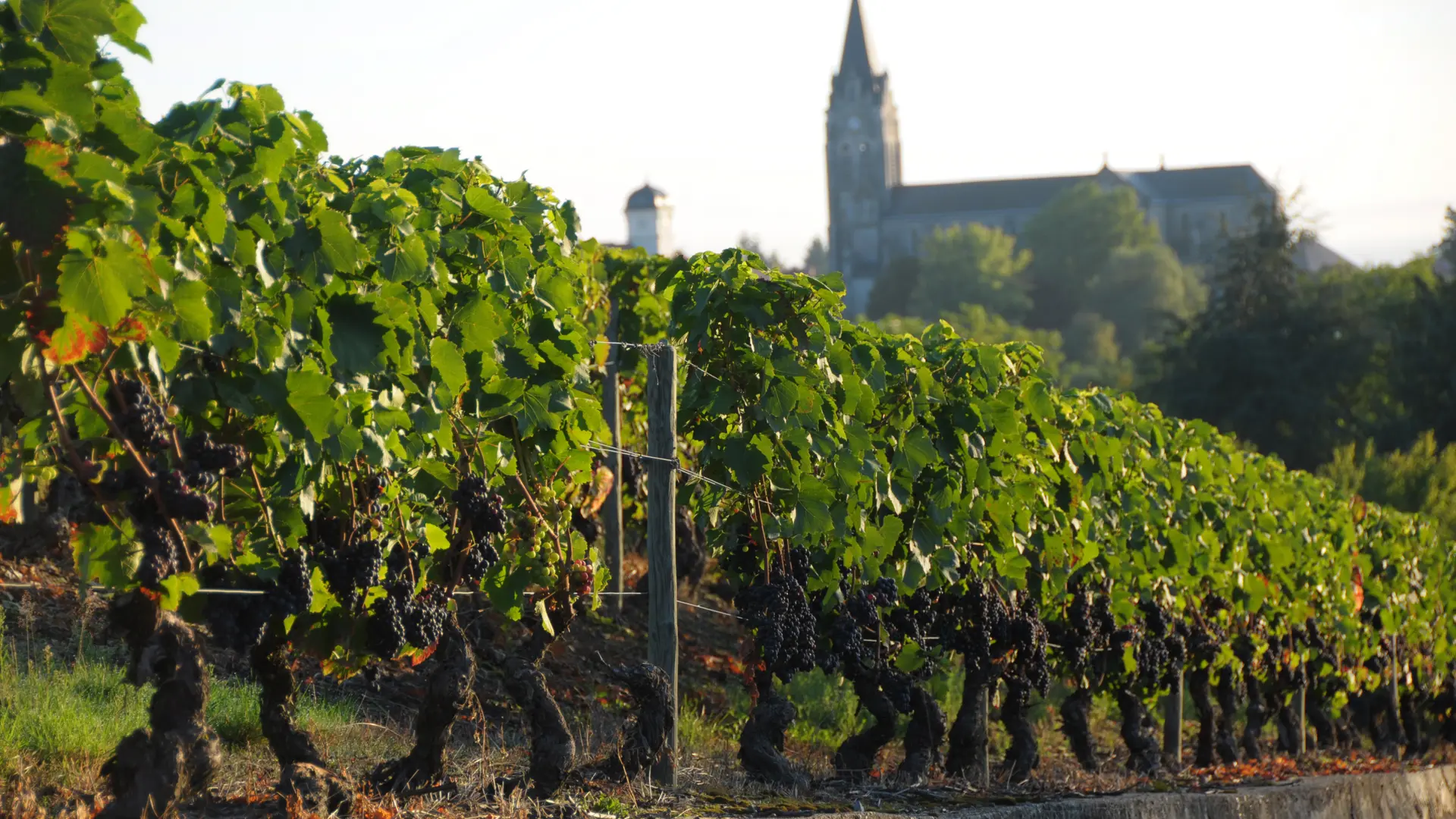 Domaine Désormière