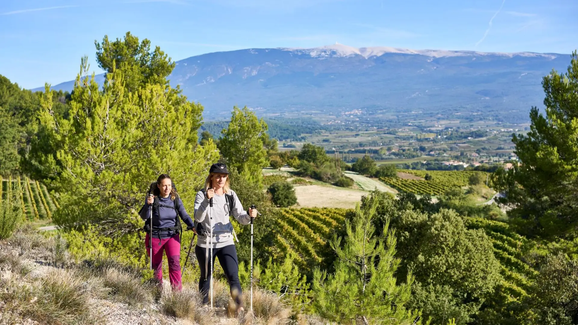 Panorama Ventoux vers Blauvac