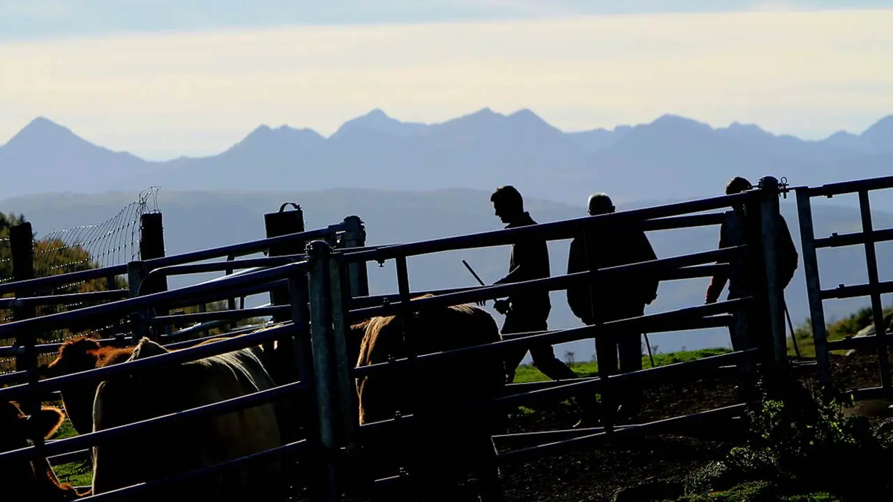 Ferme de la Cabaillère fin de journée