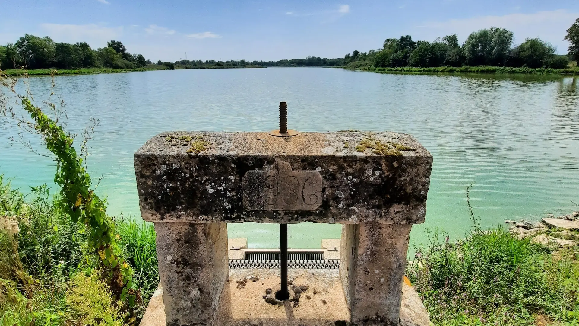 Le thou d'un étang de la Dombes