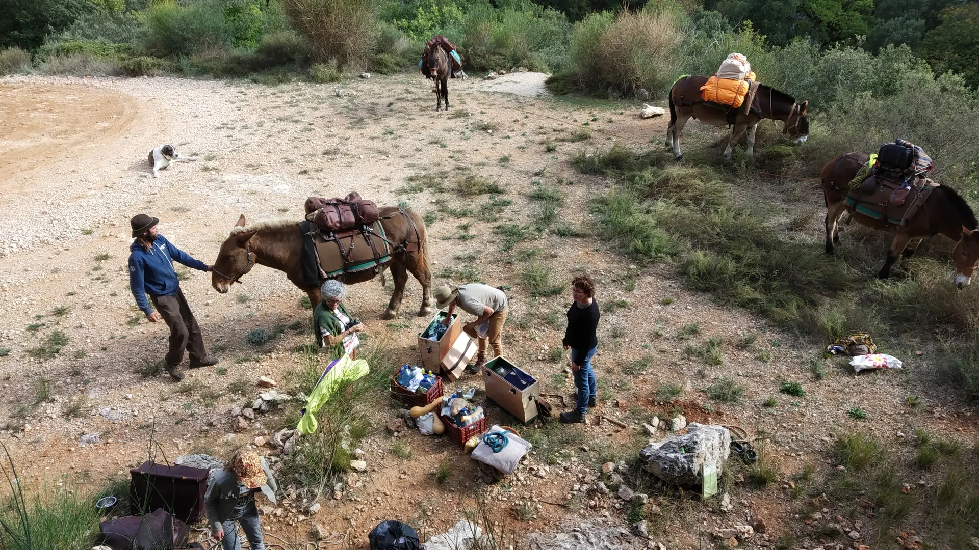 Balades et randonnées avec les muletiers Bigatier à Cuers