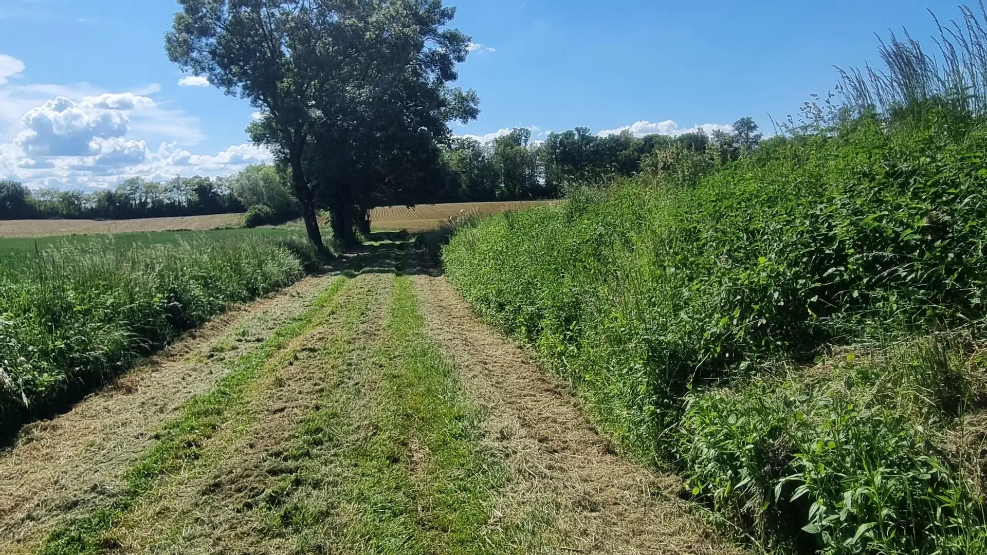 Circuit VTT-VTC n°26 (noir)_Tour de St Didier d'Aussiat