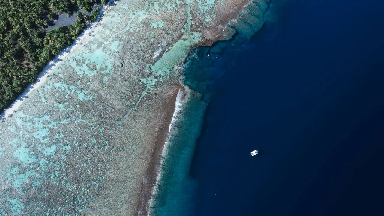 Sail Tahiti (Location De Bateau)