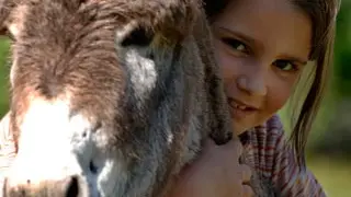 Balade encadrée avec les ânes de Jean-Luc