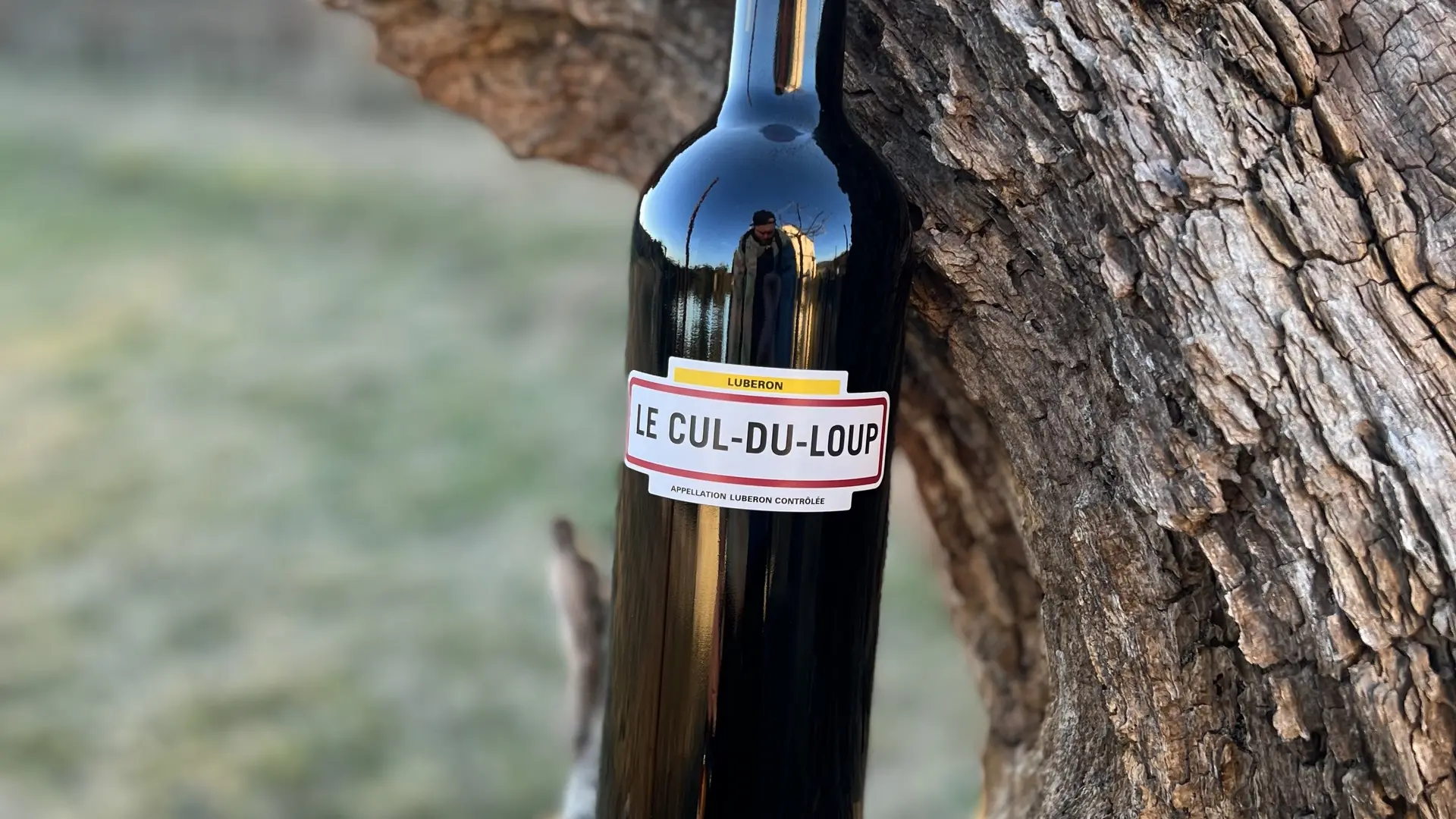 vin domaine Pied du Loup