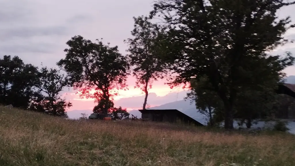 Maisonnette Faia Pontis_Pontis