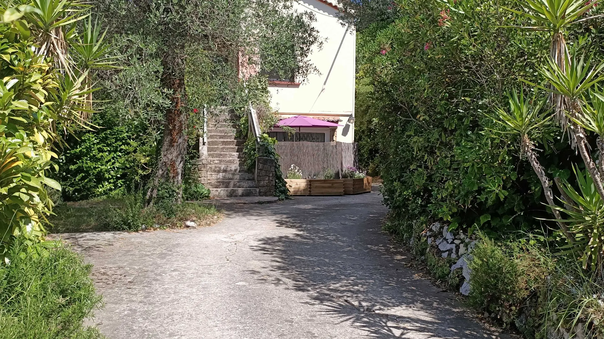 Gîte La Jonquiere Figuier-Le gîte-Contes-Gîtes de France des Alpes-Maritimes