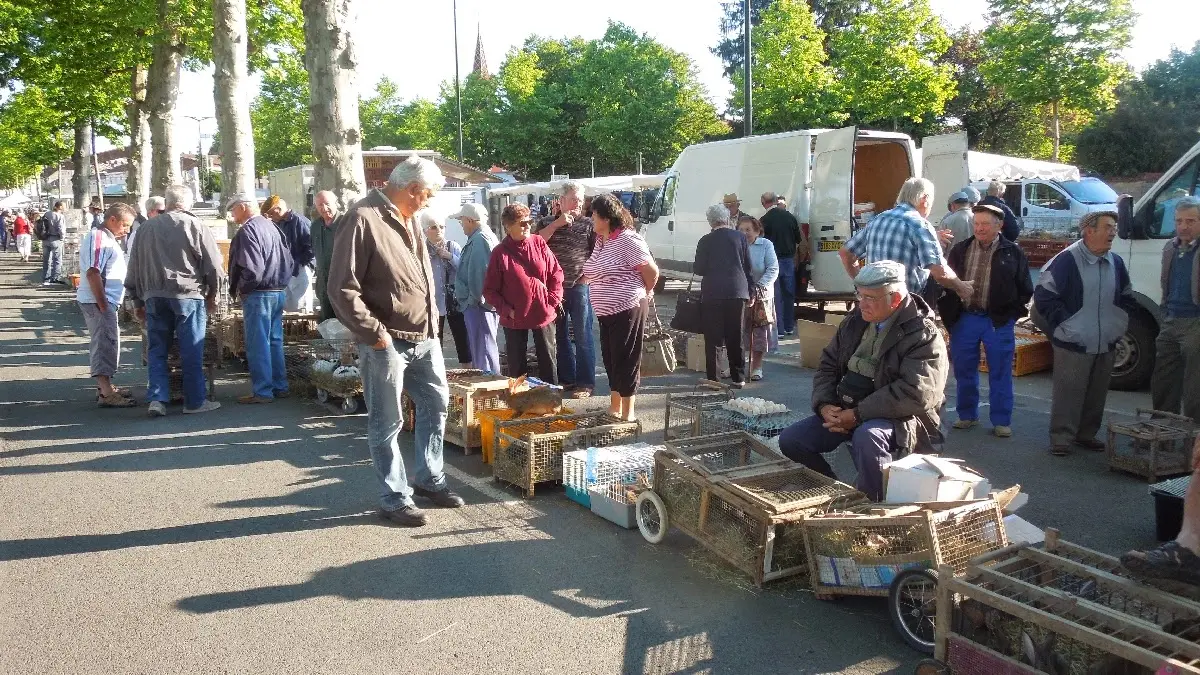 Lundi: marché agricole de Louhans à voir absolument