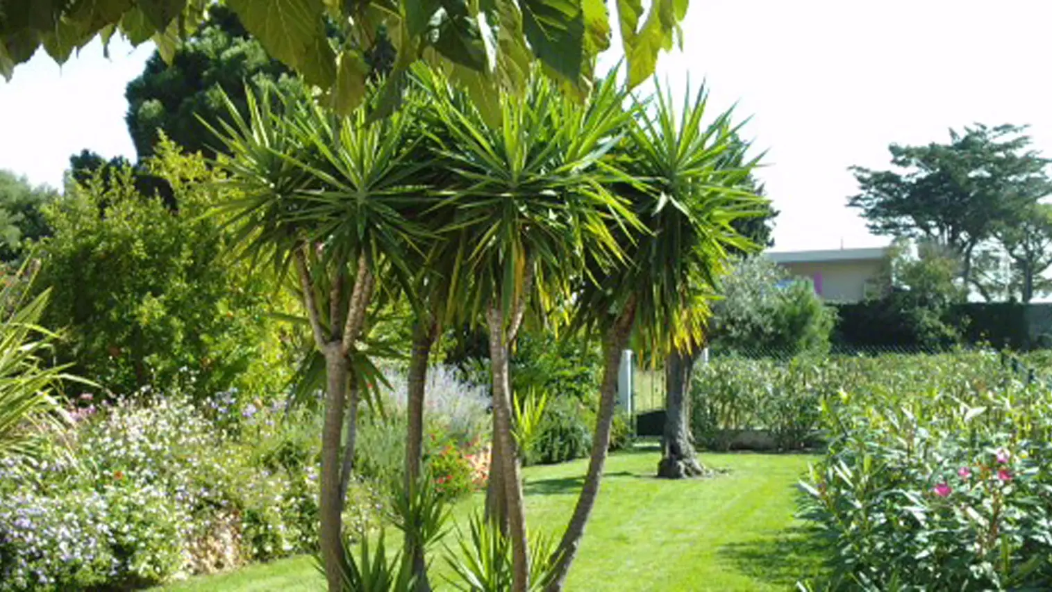 JCM Paysage 4