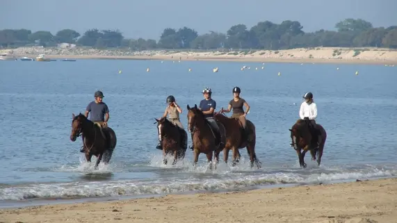 Balade sur la plage