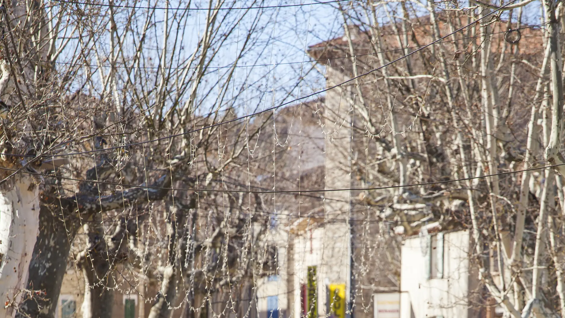 Marché de Vinon sur Verdon