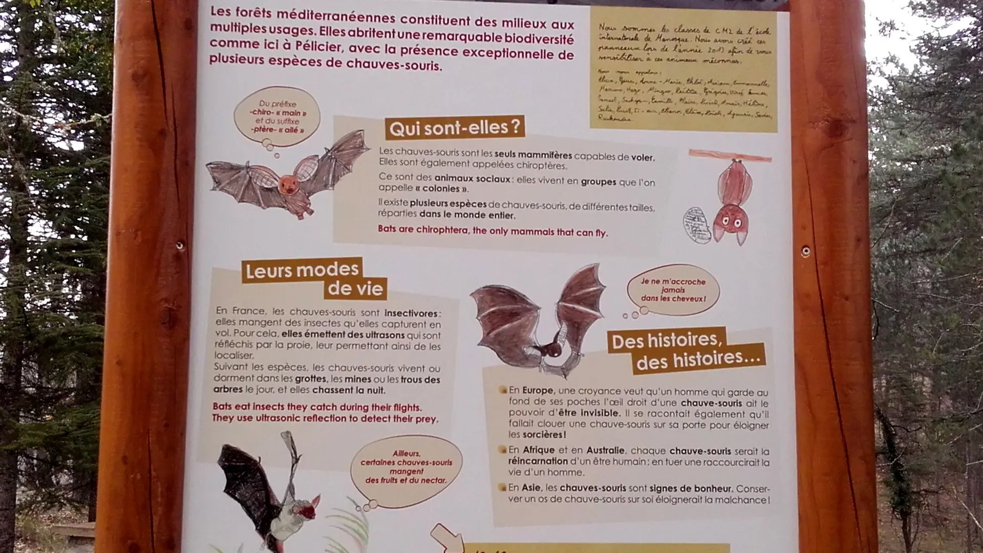 Panneau d'interprétation au Château de Pélicier