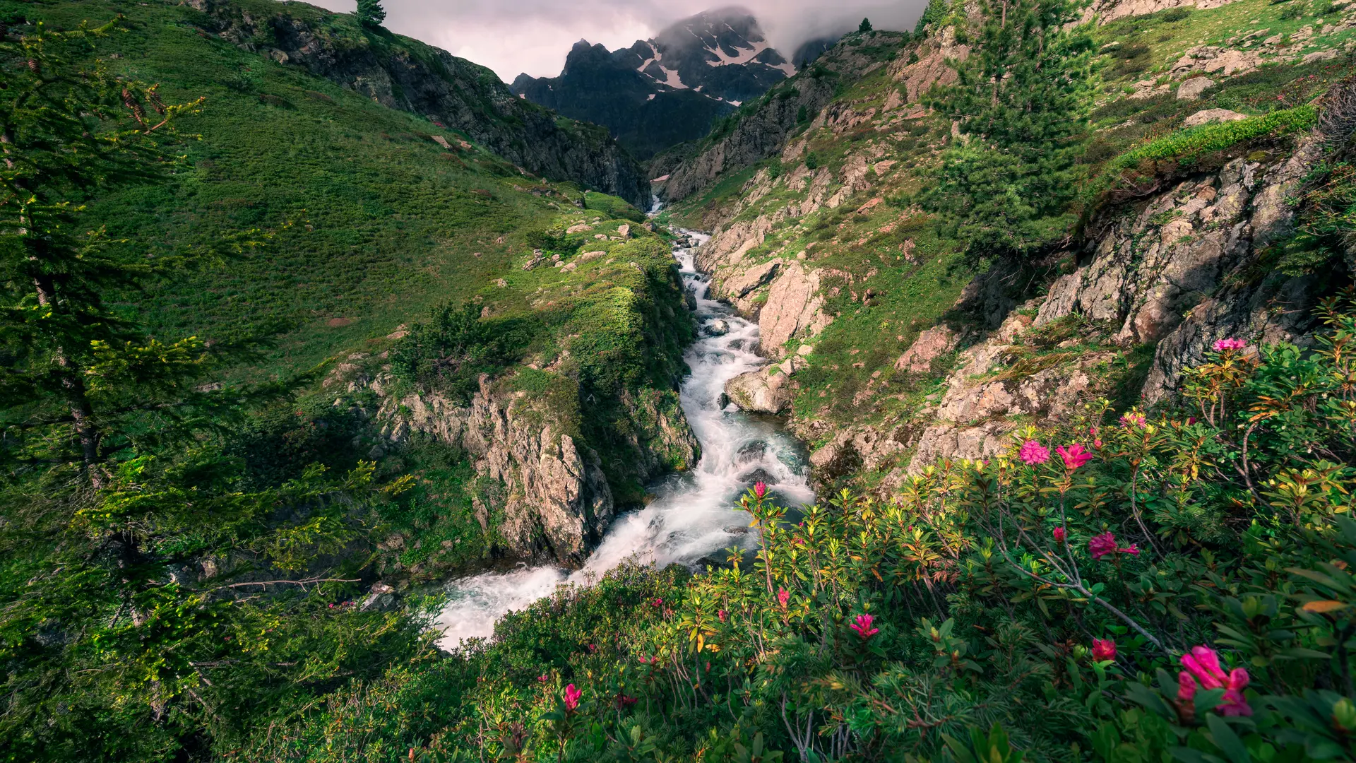 Un torrent de montagne serpente sous un ciel nuageux, avec des montagnes escarpées et irrégulières qui s'élèvent sur les côtés.