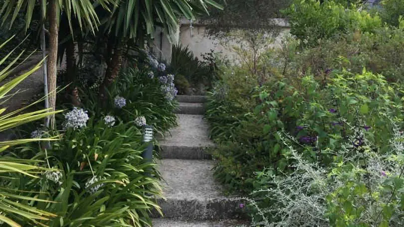 Gîte Mas de la Galinette Glycine- Escaliers d'accès - Biot - Gîtes de France Alpes-Maritimes.