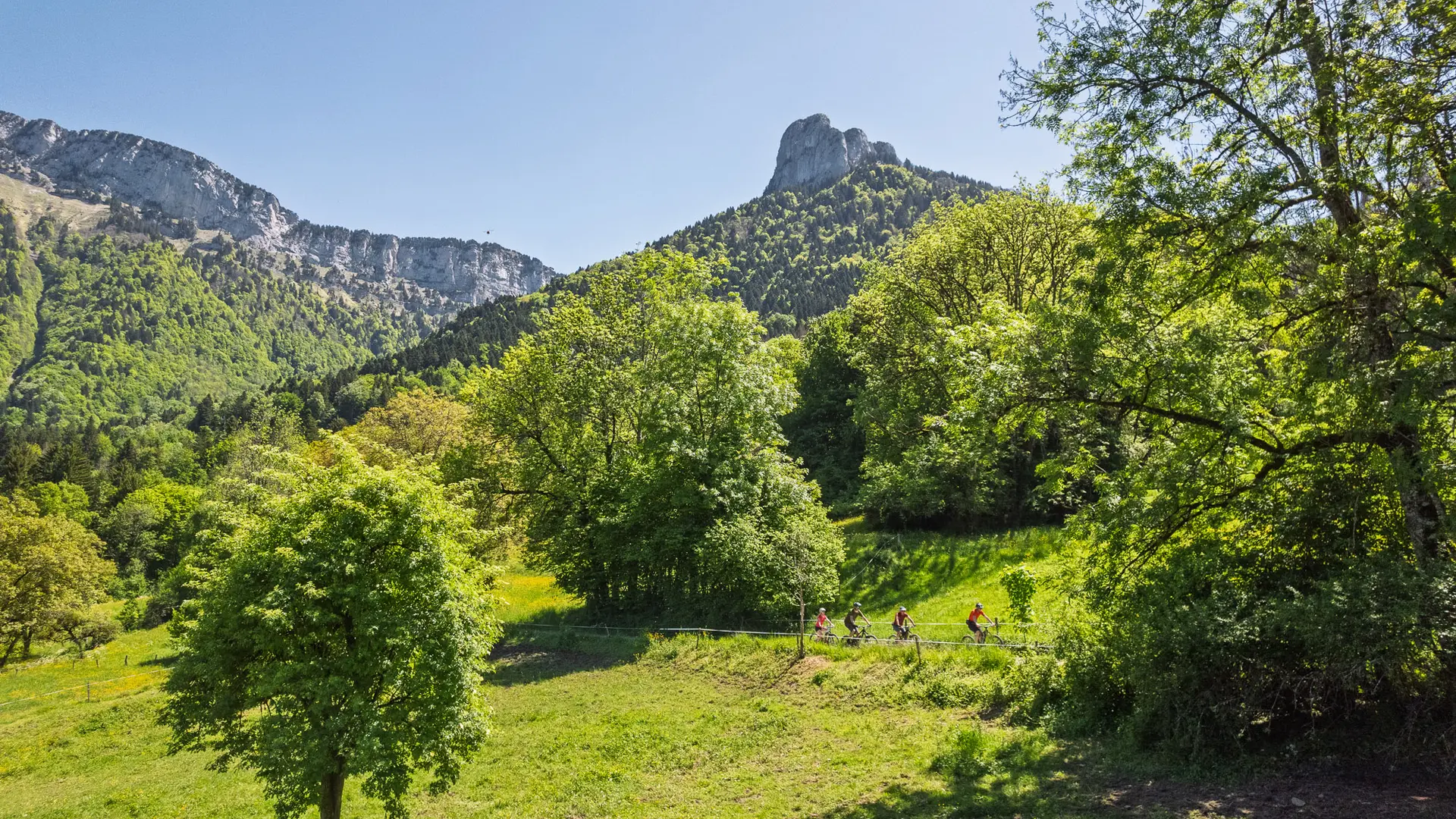 dents de lanfon alex