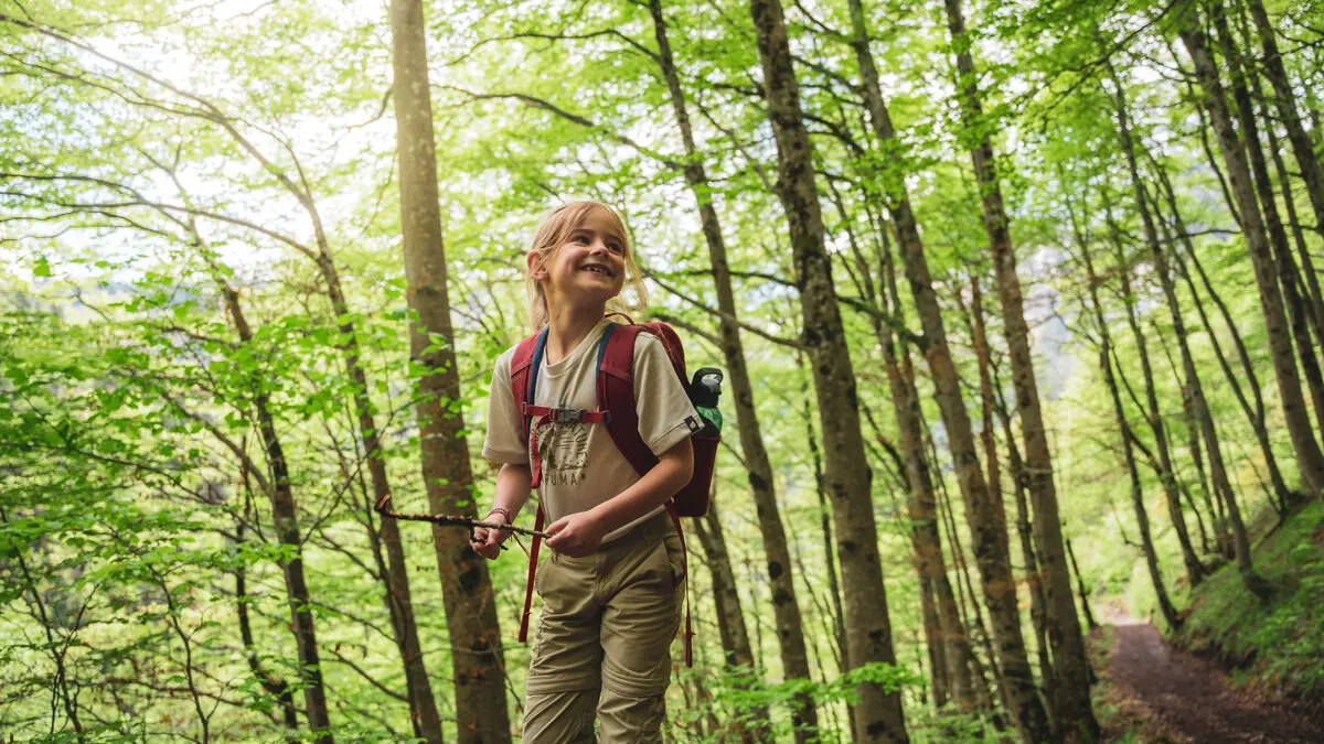 Foret de Nant Fourchu