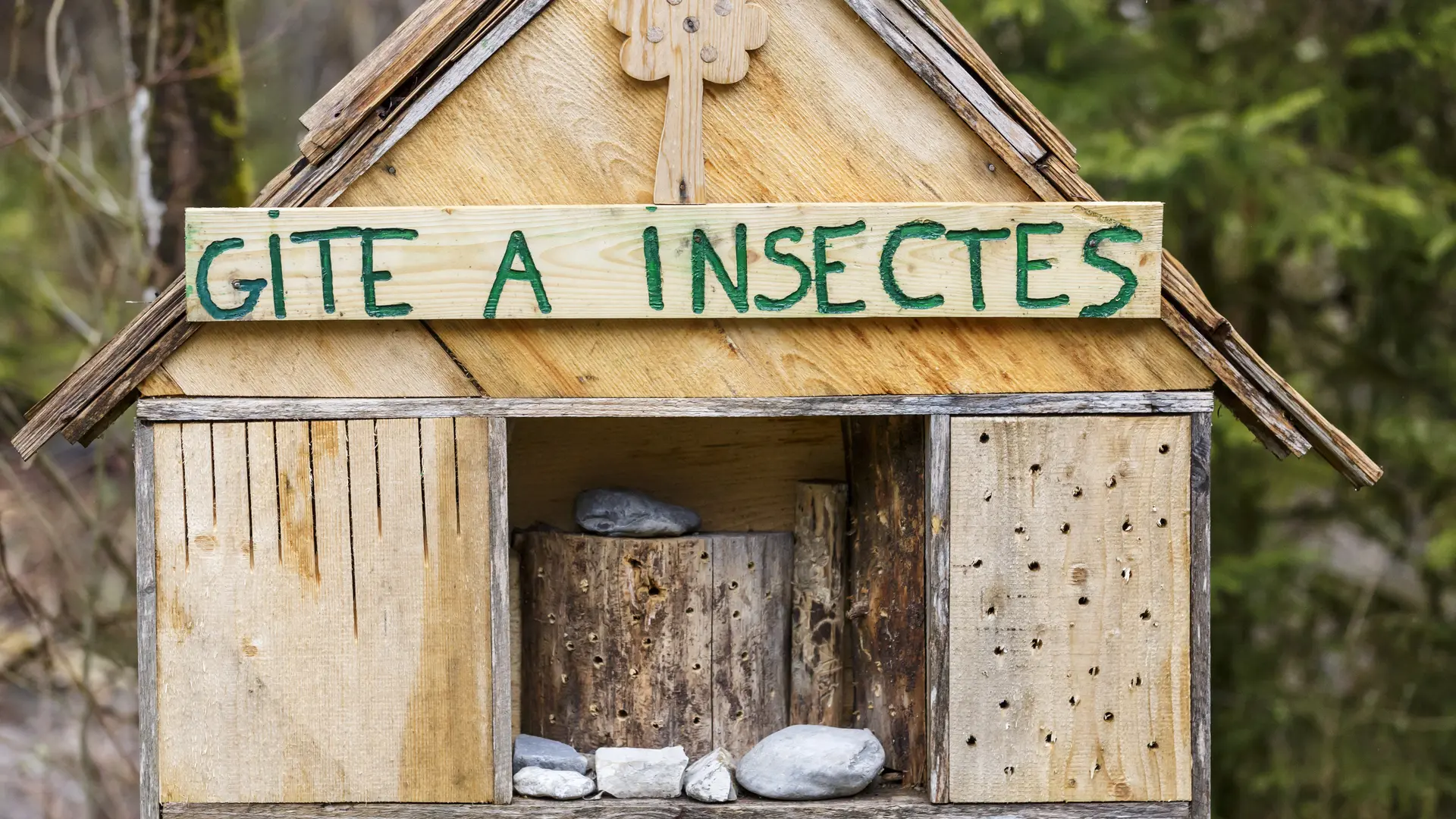 Le gîte à insecte