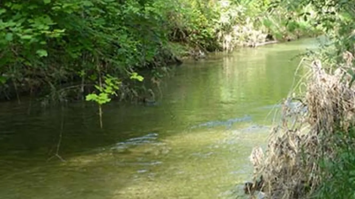 La rivière Le Largue