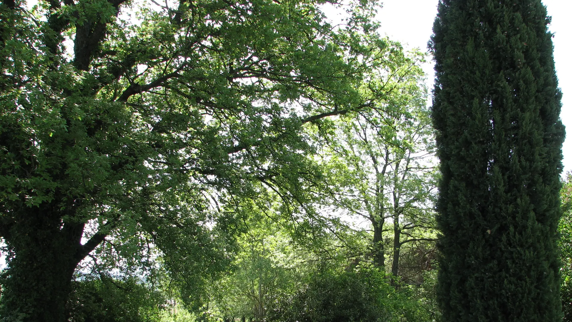 CHEMIN D'ACCES DE LA PLANCHETTE