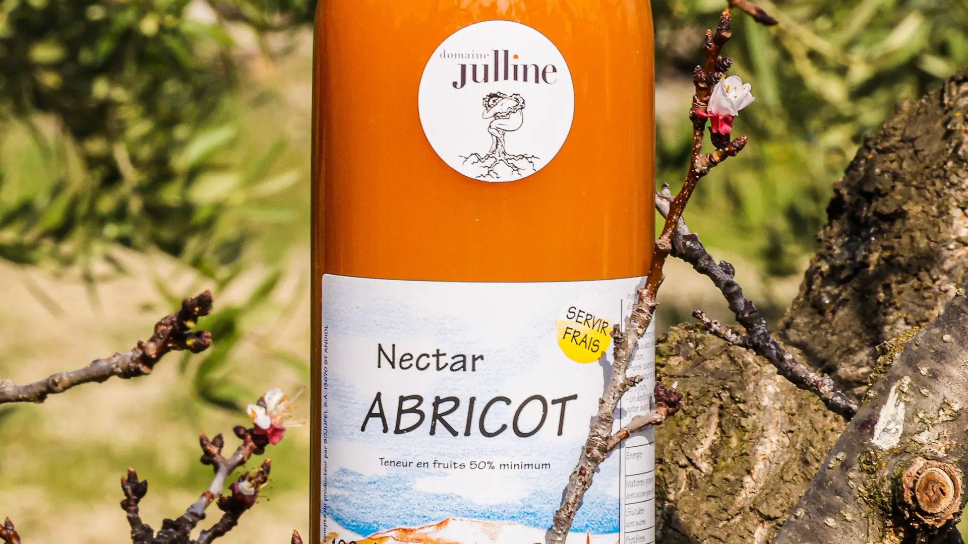 Nectar d'abricot - Domaine Julline