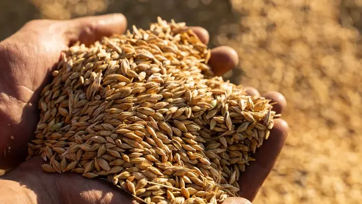 Les chineurs de malts_Le Thor orge