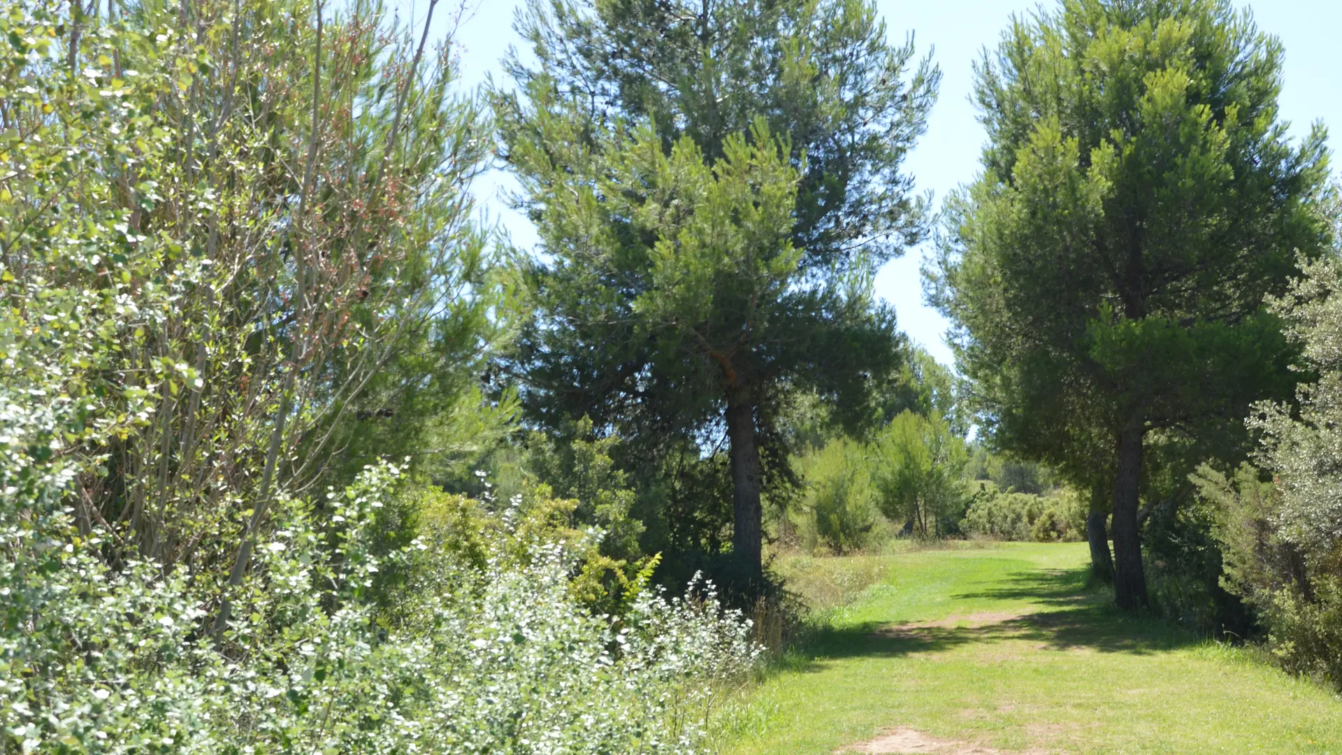 Colline Notre-Dame